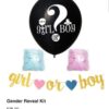 Gender Reveal Bag