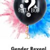 Gender Reveal Bag